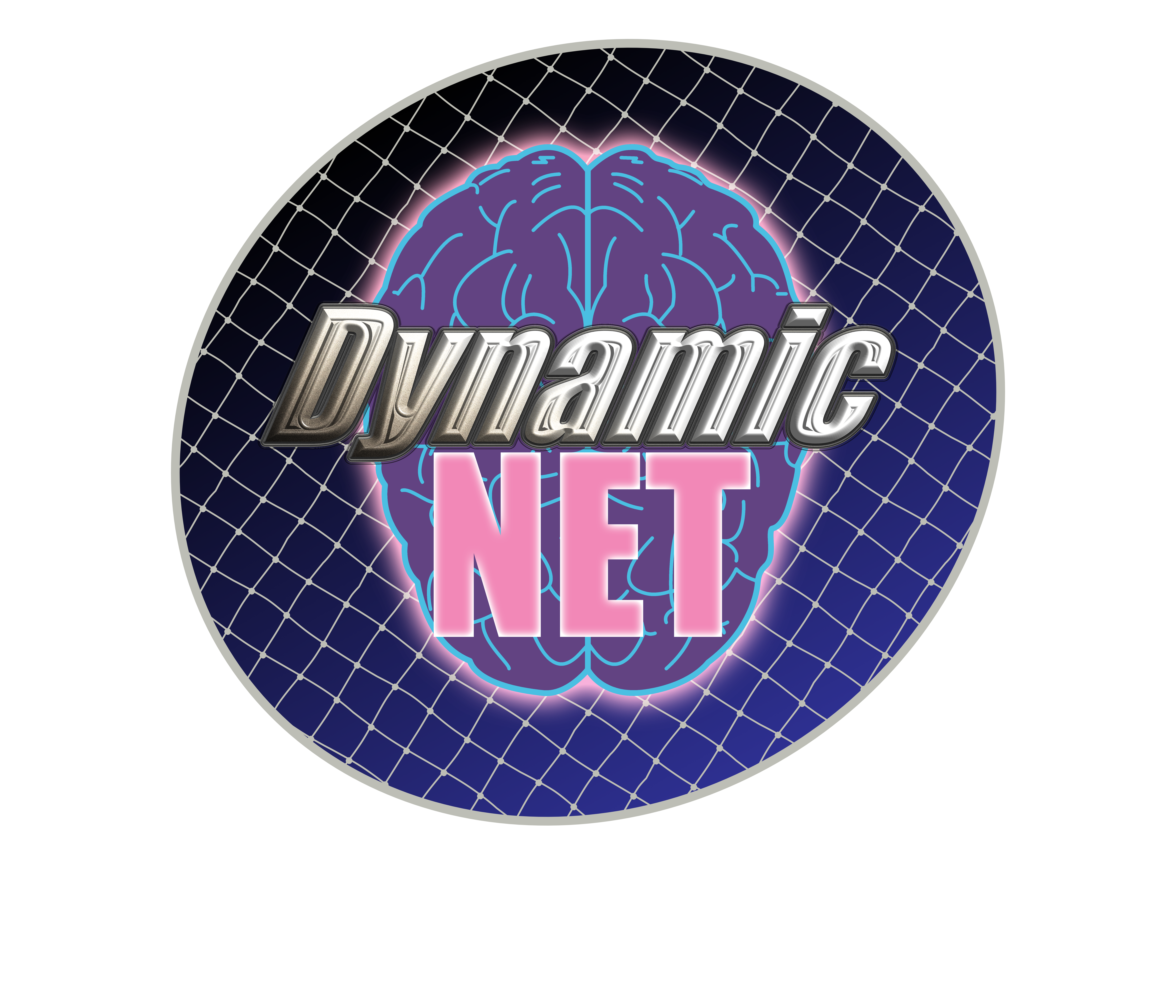 Dynamic Net Logo